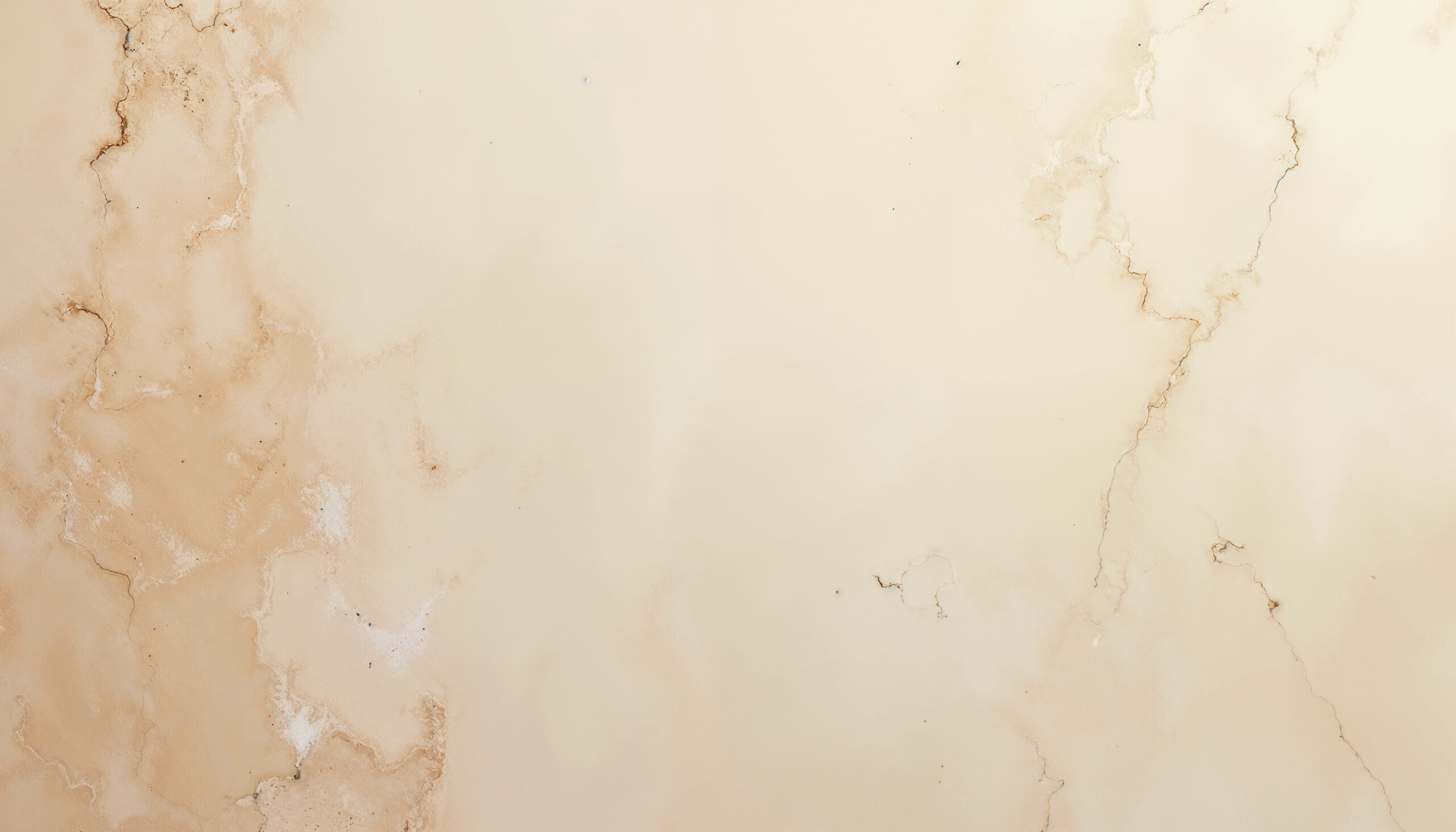 background header